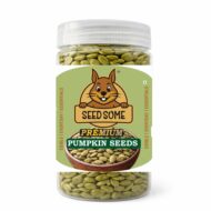 SEEDSOME PUMPKIN SEEDS | 200G |