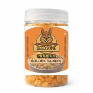 SEEDSOME GOLDEN RAISINS | 200G |