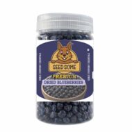 SEEDSOME DRIED BLUEBERRIES | 200G |